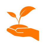 Nachhaltigkeit Pflanze Hand